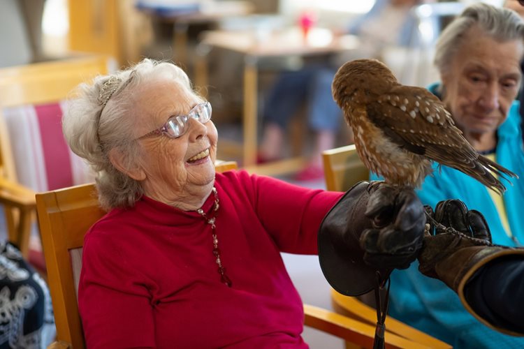 Eagle-eyed The Burroughs residents welcome feathered friends